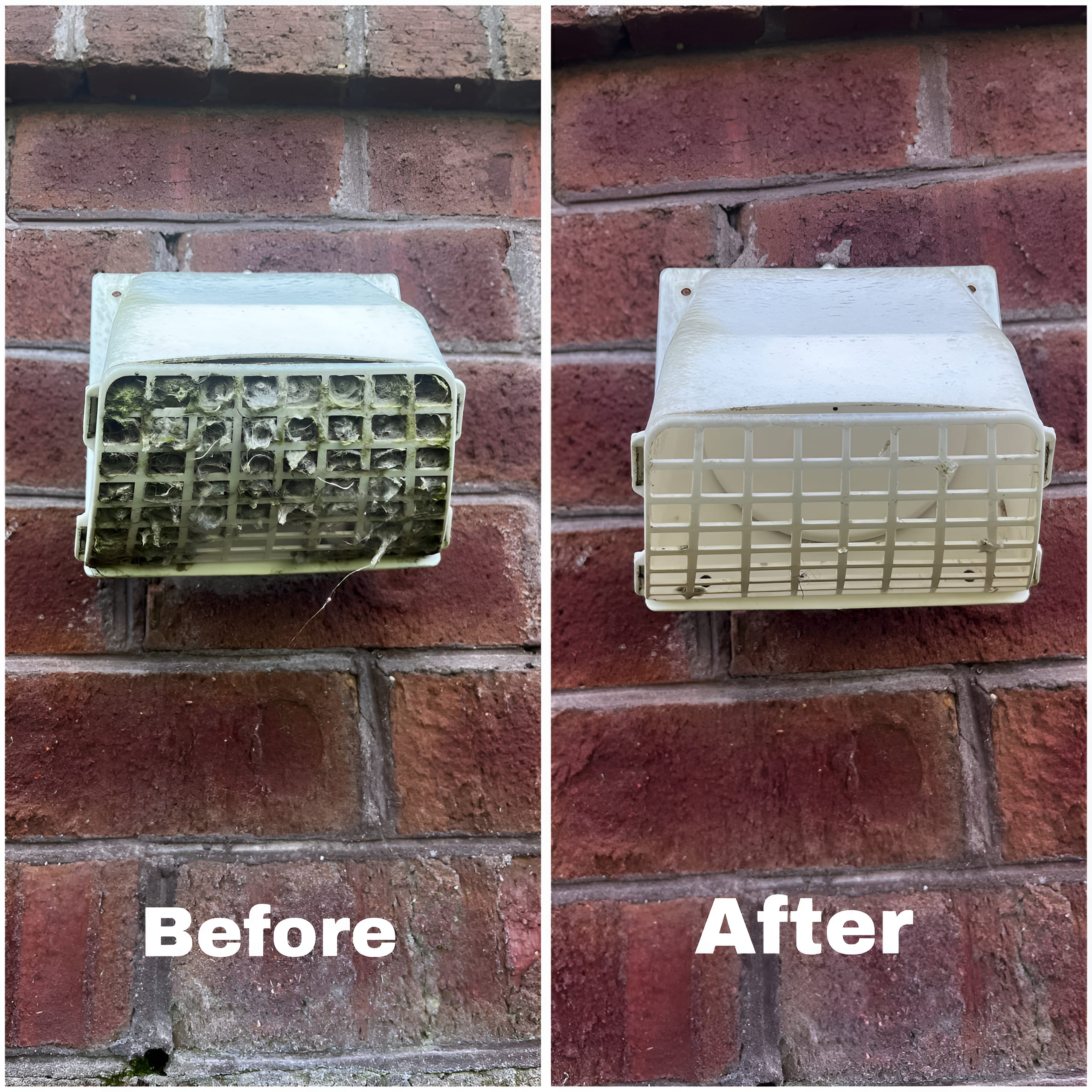 Technician inspecting